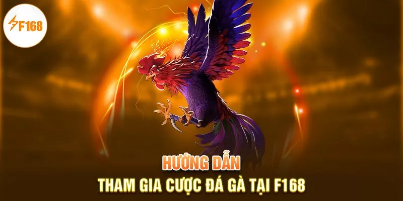 Hướng dẫn tham gia cược đá gà tại F168