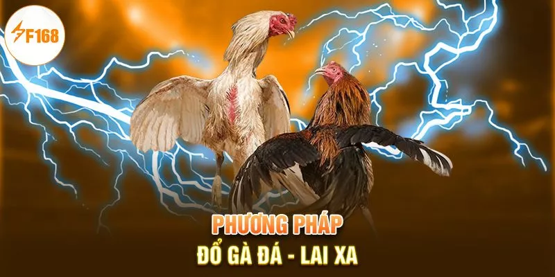 Phương pháp đổ gà đá - Lai xa